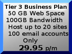 tier 3 business hosting